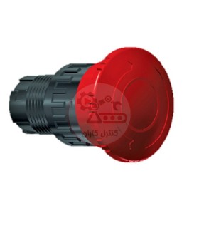 امرجنسی قارچی رعد ESTR