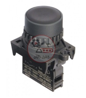 شستی استارت آتونیکس S2PR-P1KA