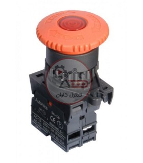 امرجنسی قارچی هد 40 چراغ دار 220V آتونیکس S2ER-E4RBL