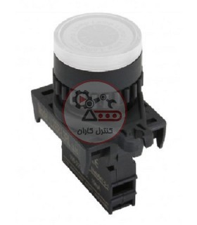 شستی استارت چراغ دار 220V آتونیکس S2PR-P3WAL