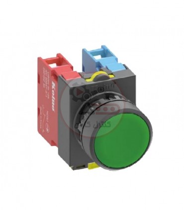 شستی استارت کوینو NS22-PM-G1A00B